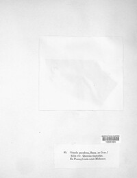 Image Associated With the Occurence